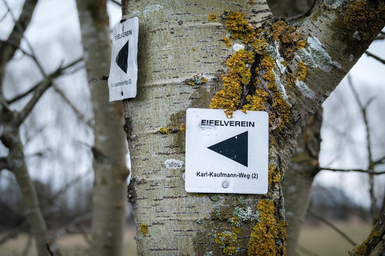 Eifel21 - Stilvolles Haus In Der Vulkaneifel Bleckhausen Zewnętrze zdjęcie